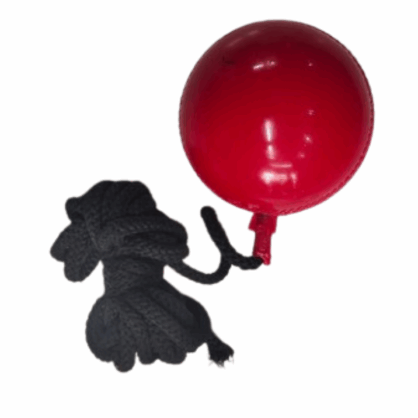 Hanging Ball - Image 2