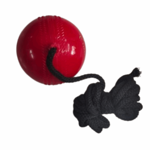 Hanging Ball - Image 3