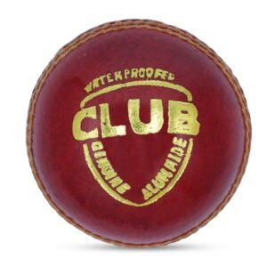 Gravity Club Red Ball